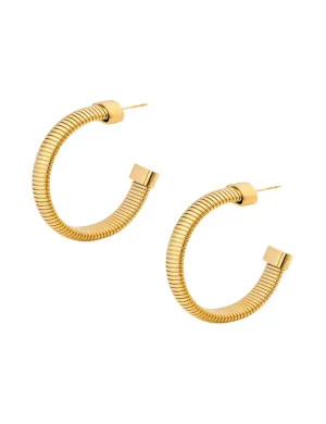 She's Timeless Hoops, Gold